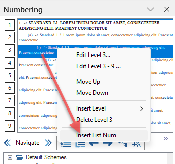How to Display Two Outline Numbers on the Same Line in Litera NTD