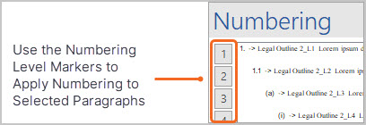 Apply a numbering scheme using Litera NTD