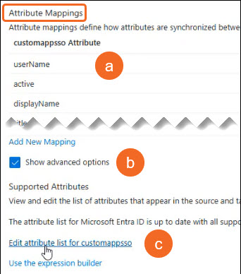 User Configuration and Custom Attribute Mapping in Litera One SCIM ...